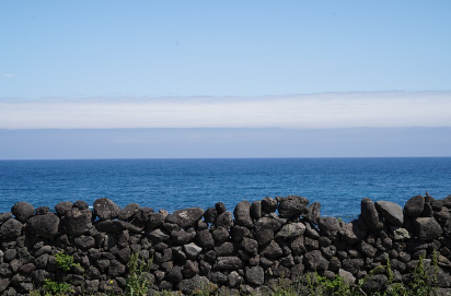 제주도 여행: 겨울과 봄을 동시에 만나는 아름다운 섬