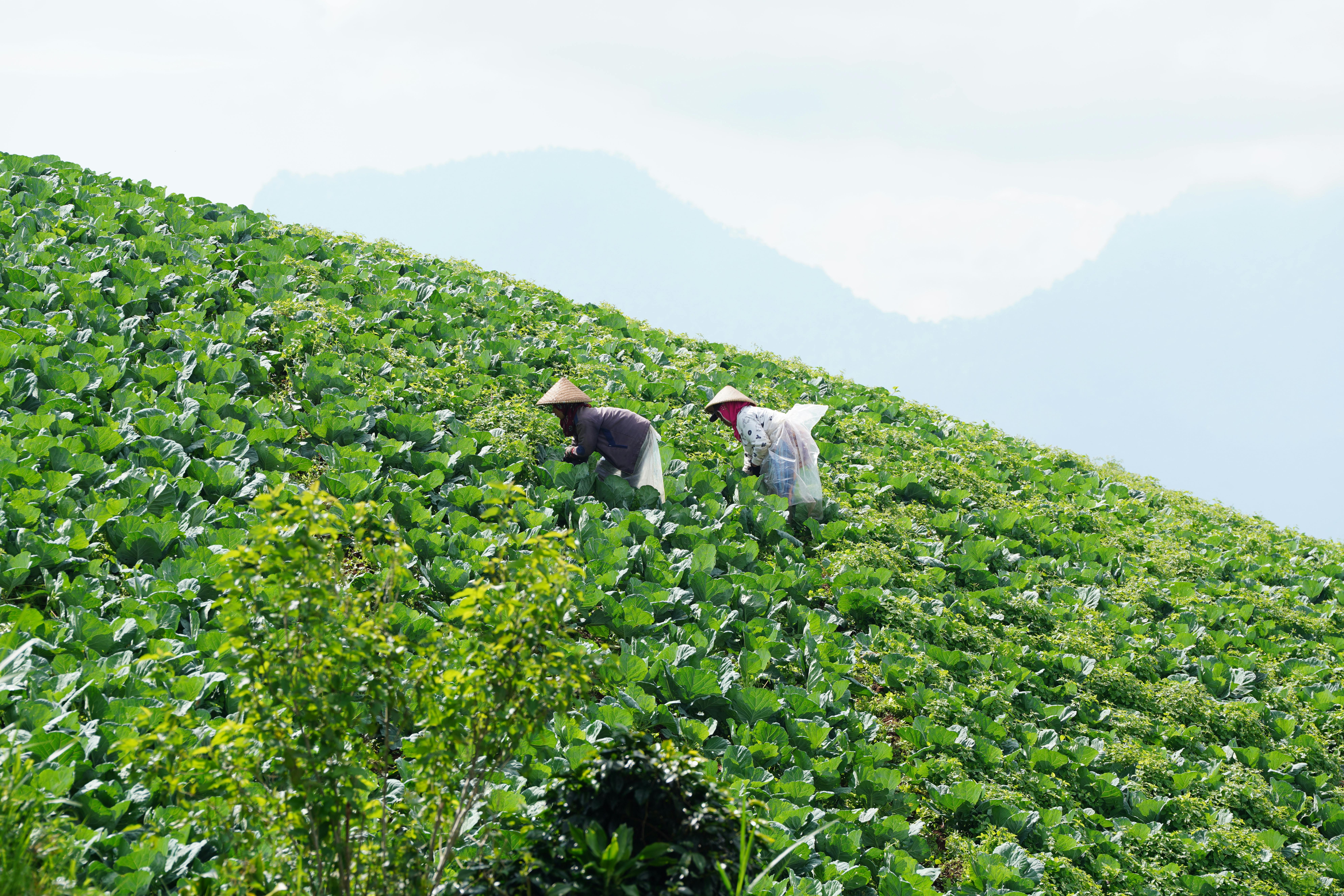 산 속에서 쫓기는을 상징하는 이미지