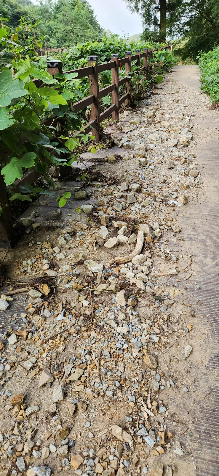 토사가 밀려내려 온 흔적