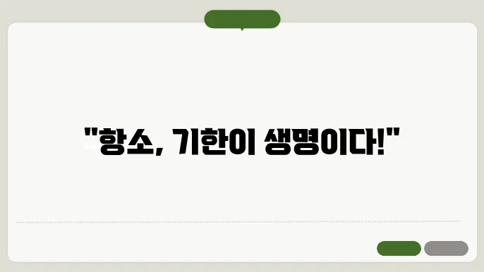 항소이유에대한답변서제출기한 정보 총정리