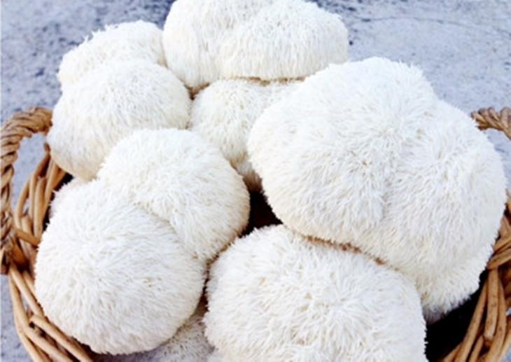 바구니에-담긴-버섯