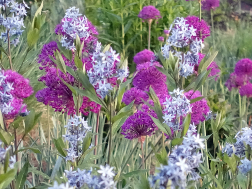 특색있고 아름다운 민간 정원 30선 추천 여행 - 12. 인제 찍박골 정원