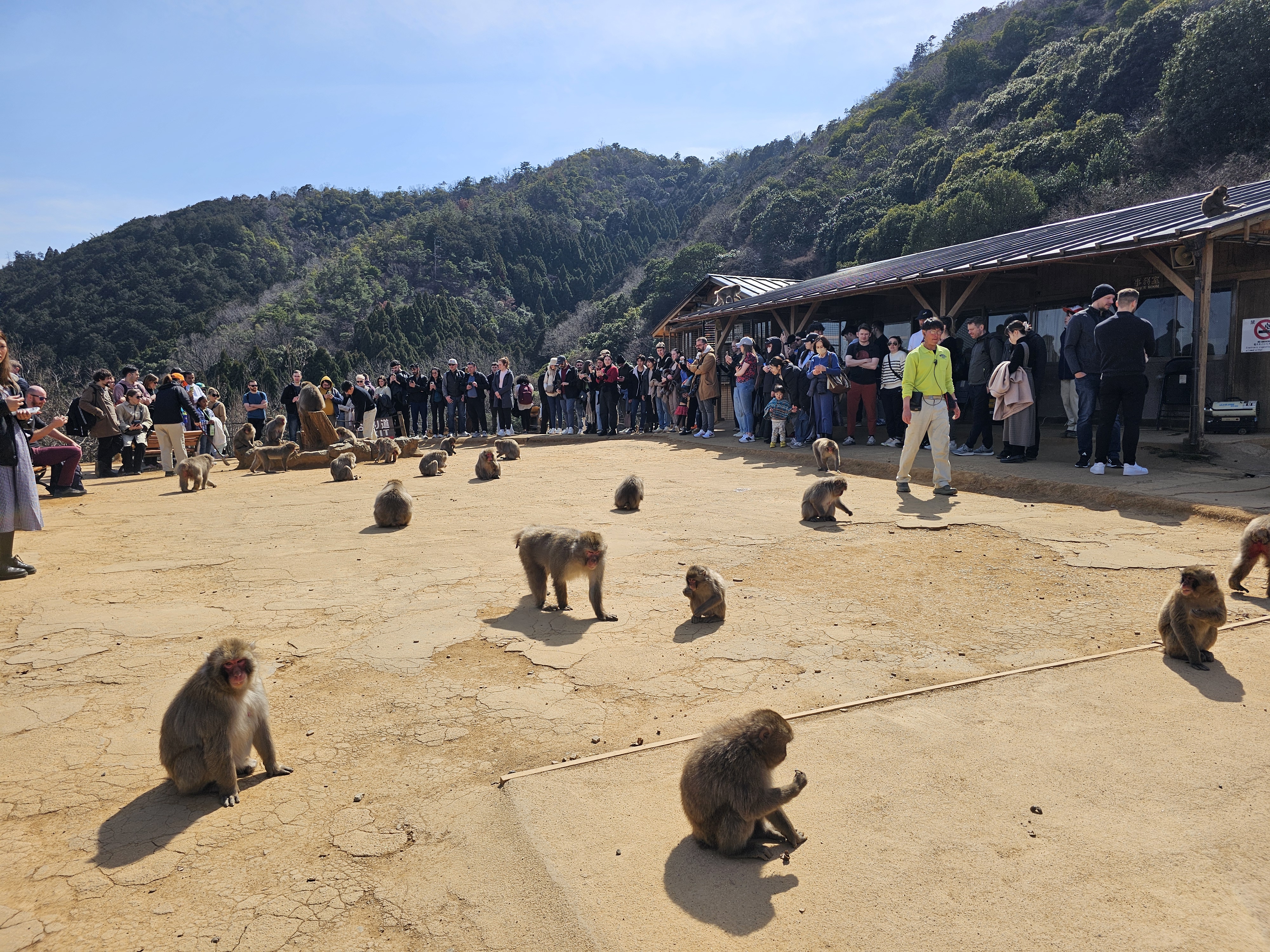 아라시야마 몽키파크