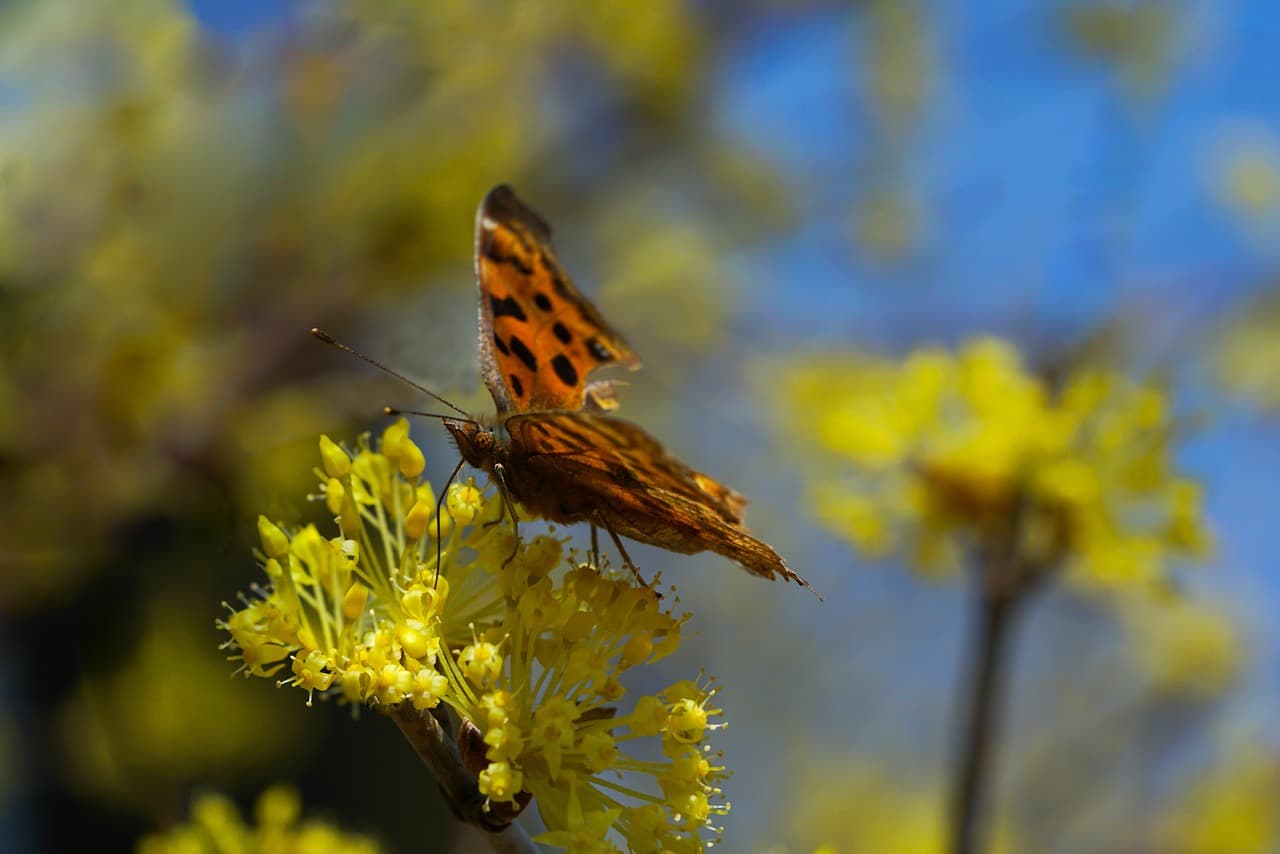 수안보 온천과 이중환의 『택리지』, 여행 문학의 원형