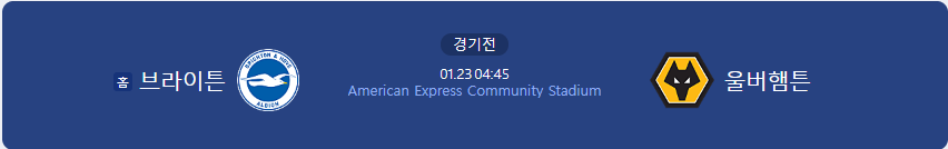 브라이튼 울버햄튼경기