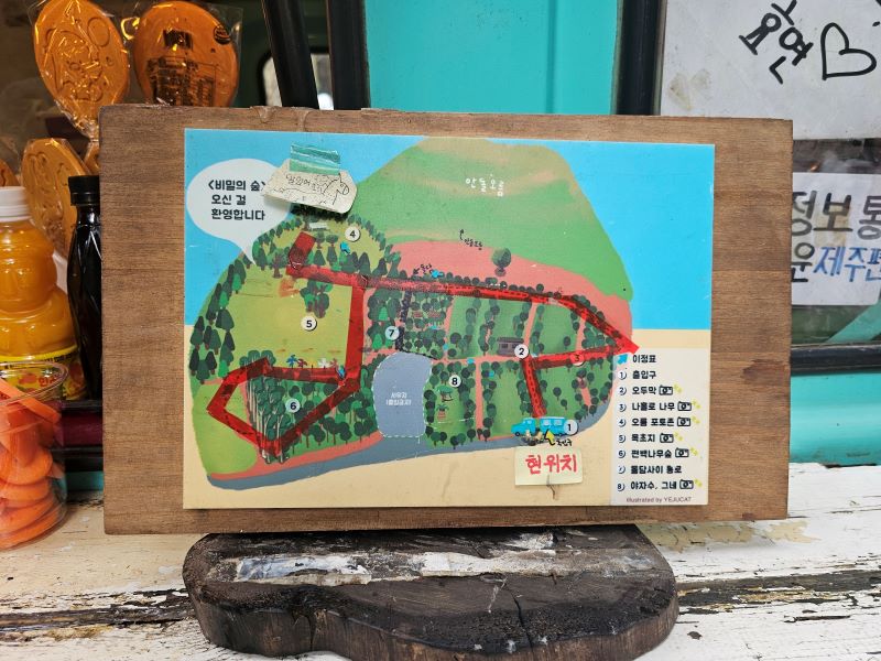 제주 비밀의 숲 지도