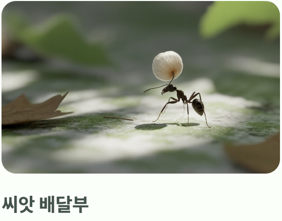 벌과 나비 대신 '개미'를 선택한 이유
