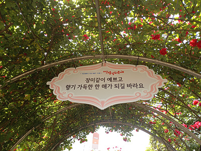 장미터널 글귀 사진