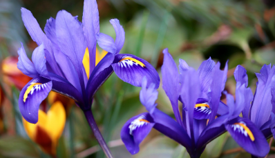 화담숲-예약하기