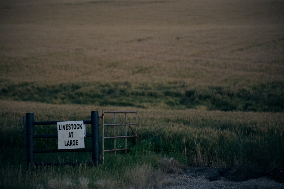 Land Registry