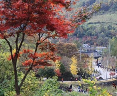 가을에 꼭 가야하는 단풍이 유명한곳 BEST 5곳