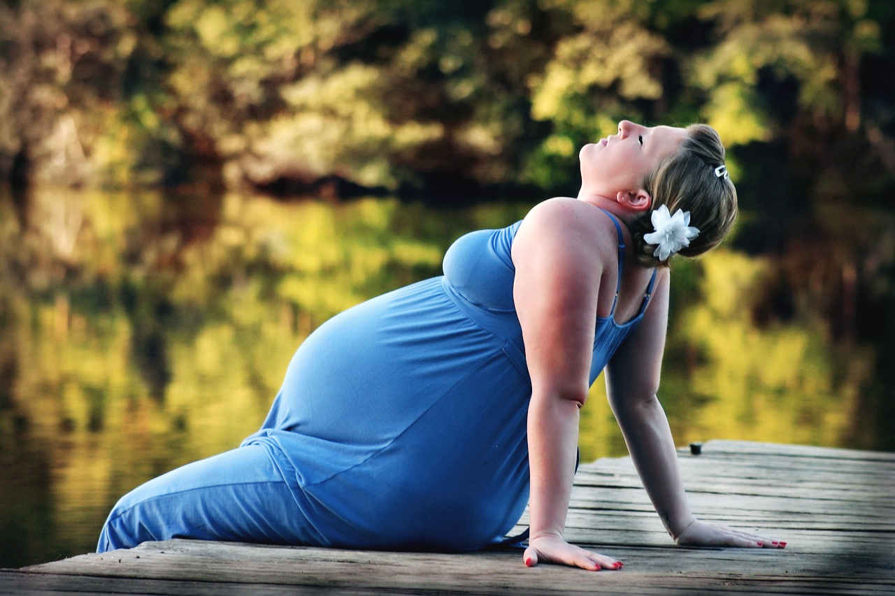 태동 시기 초기 중기 후기