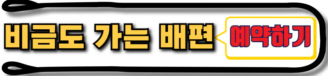 비금도 배편 예약
