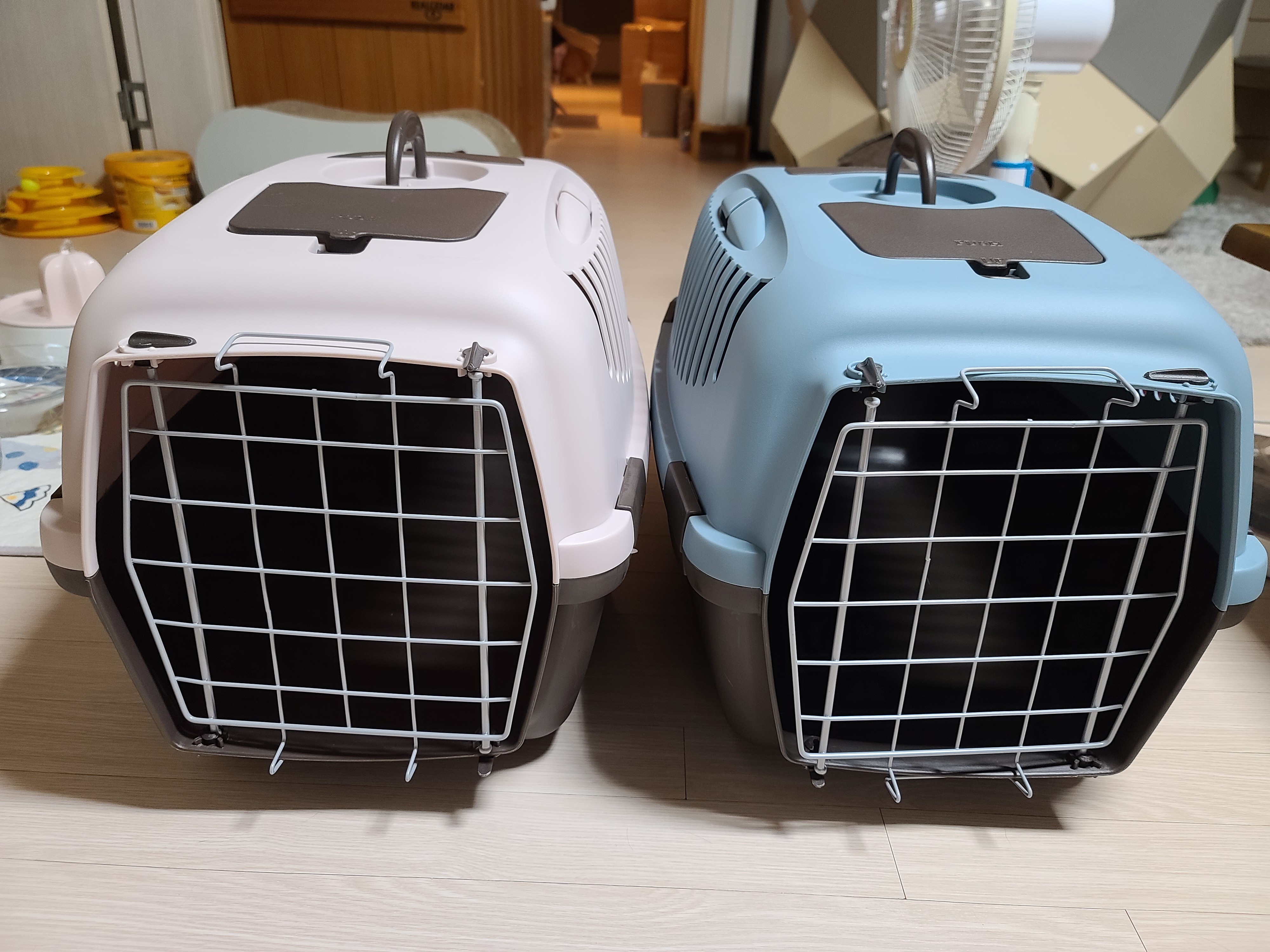 우리아이들의 이동장. 내가 써보니 안전하지 않은 이동장. 고양이들에게 꼭 필요한 안전한 이동장.