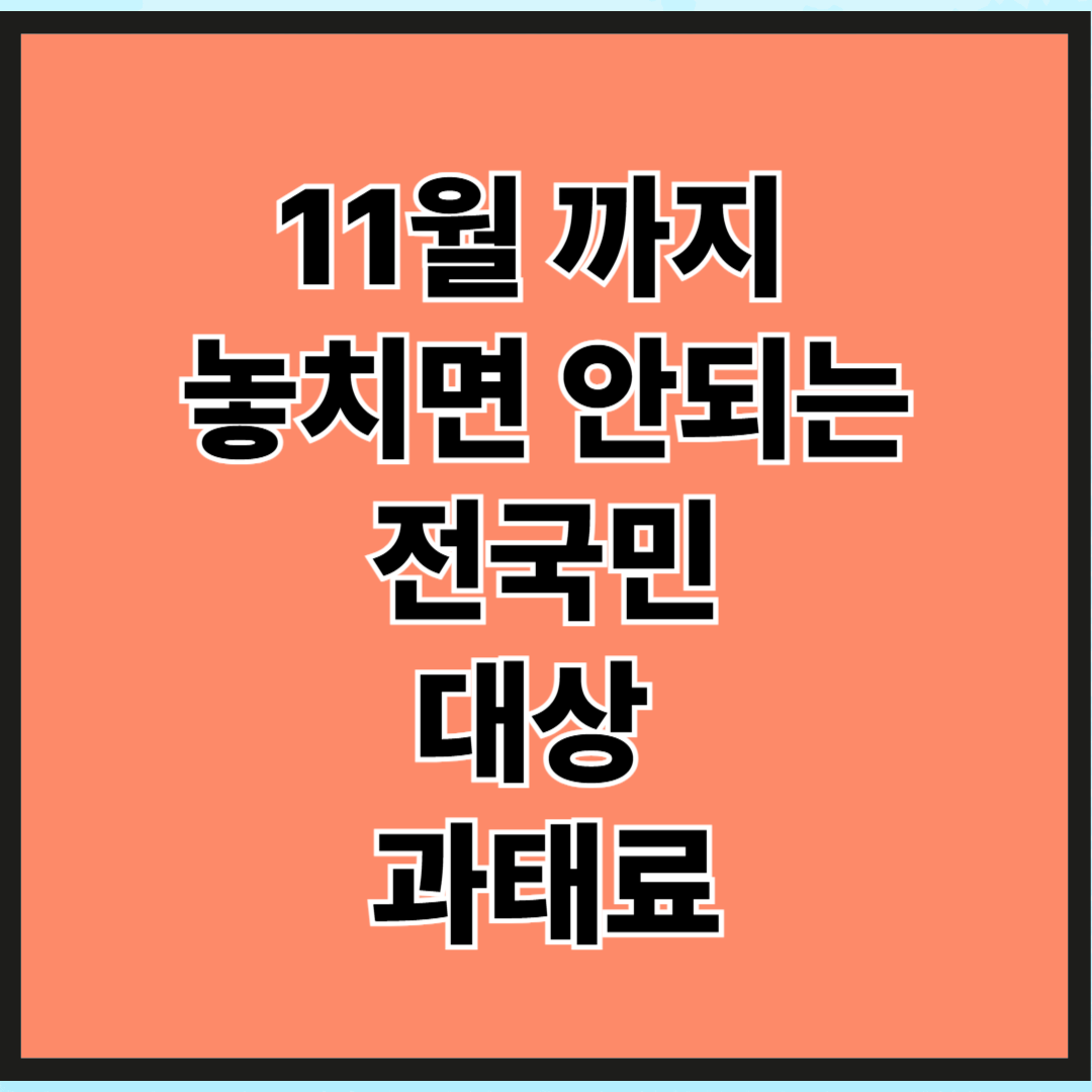 전 국민 11월 지 안 하면 과태료 꼭 놓치지 마세요 !