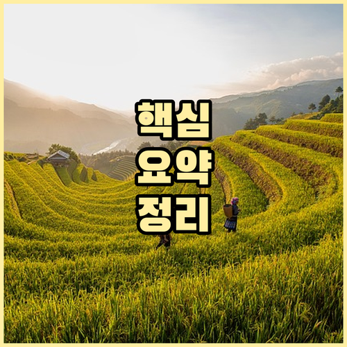 미국 ESTA 신청: 수수료 인상과 ..