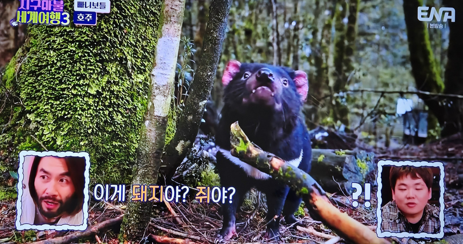 지구마불세계여행3 빠니보틀 - 호주편