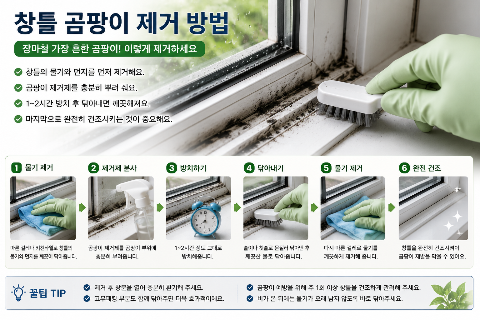 창틀 곰팡이 제거 방법