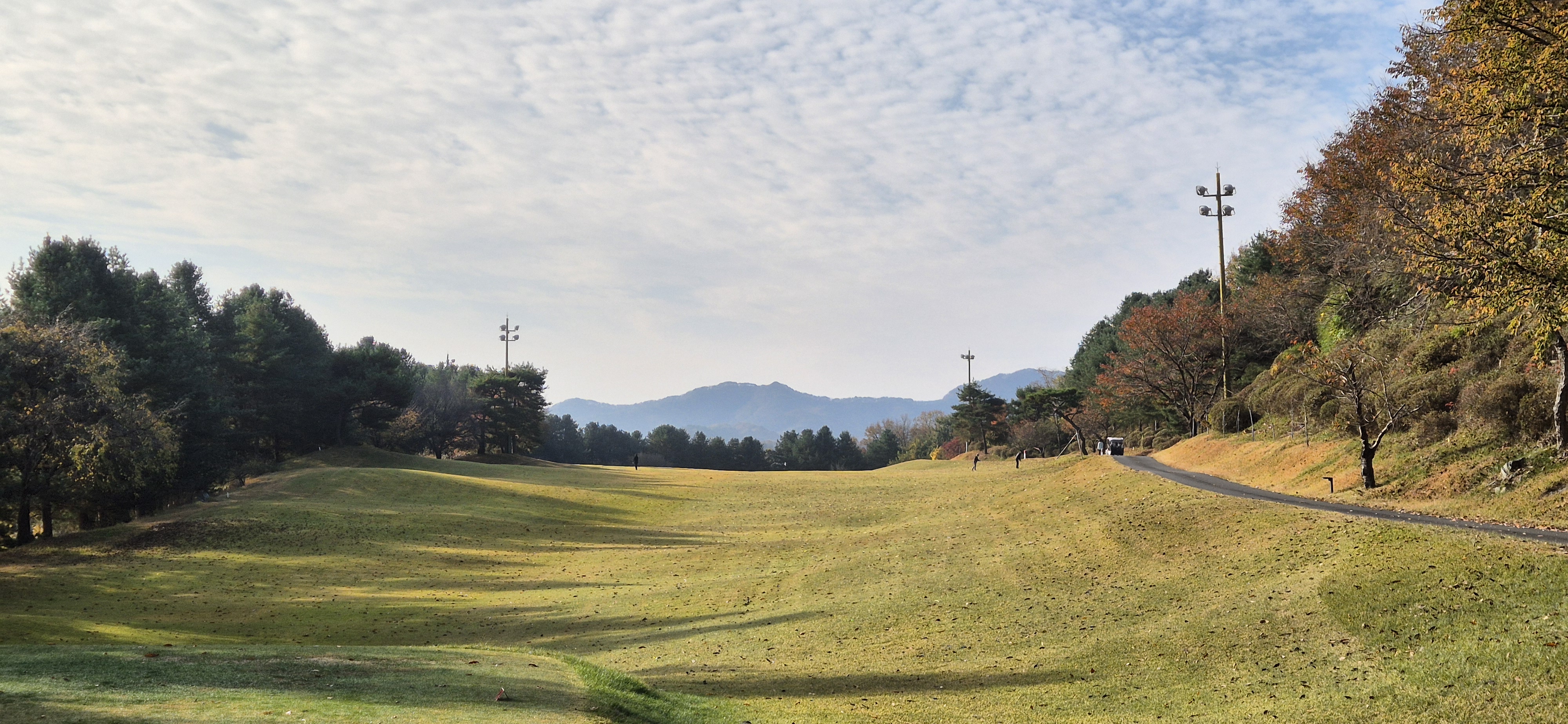 시그너스cc 라미코스 사진 및 공략 정보