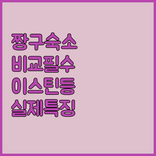 짱구 여행 숙소 비교 이스틴 아시타 ..