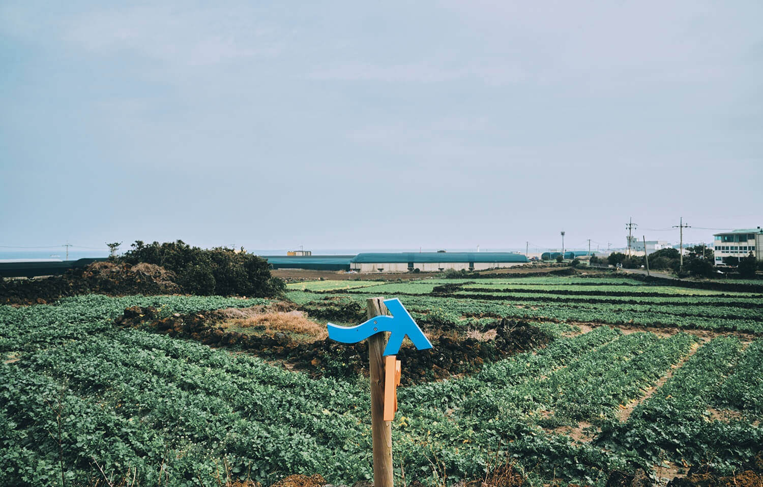 올레길 20코스, 해안 절경과 함께 비 속에서 즐기는 여유🌧️
