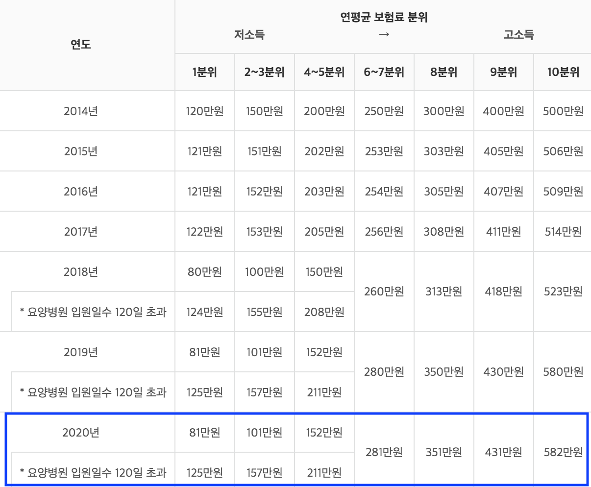 2020년 본인부담상한제 환급 안내