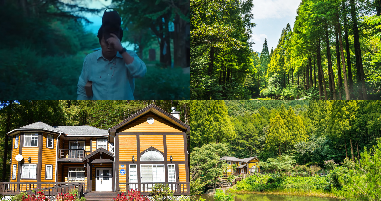 아무도 없는 숲속에서 촬영지