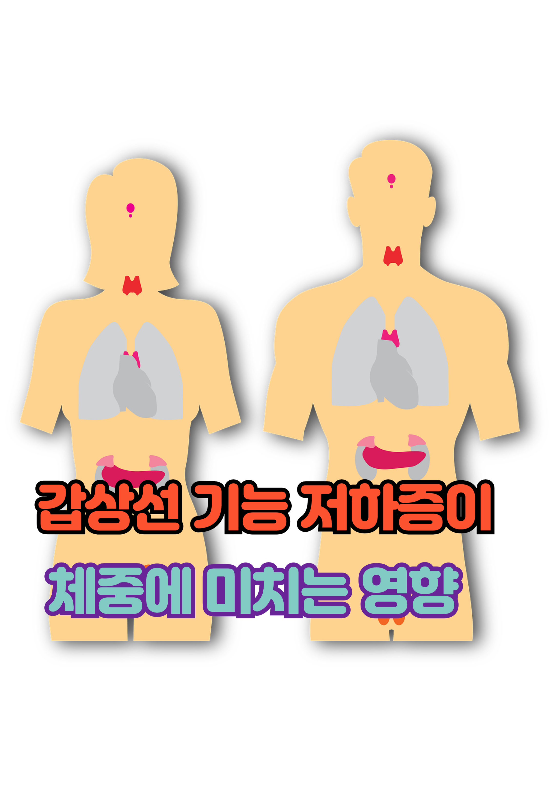1.갑상선 기능 저하증과 체중 변화의 기전