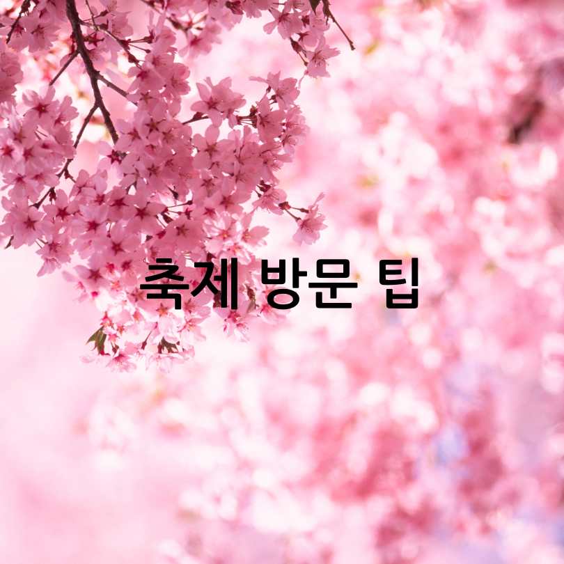 금산 보곡산골 산벚꽃축제