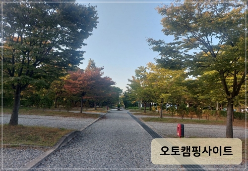 캠핑장-오토캠핑사이트