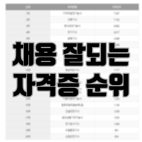 채용을 많이 하는 자격증 순위
