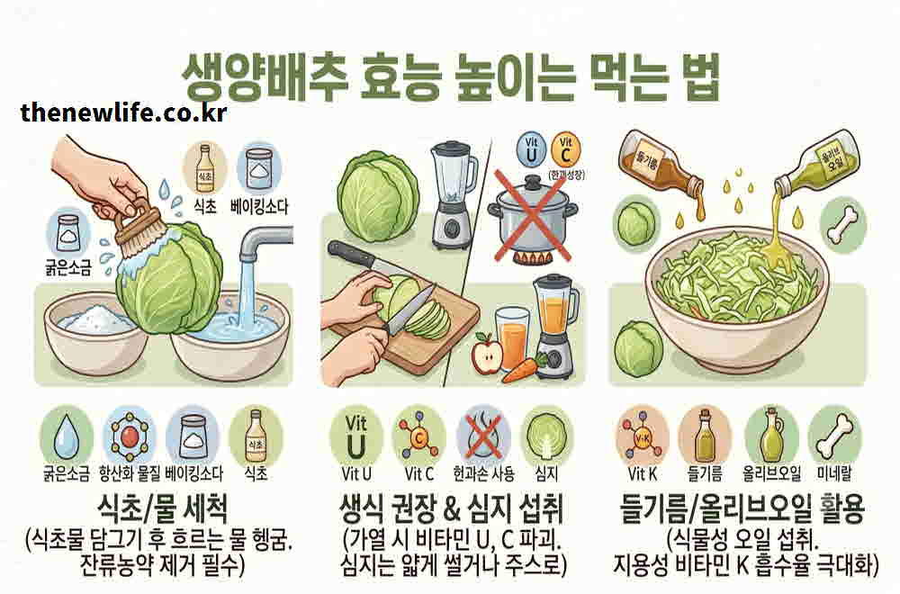 생양배추 효능 높이는 먹는 법