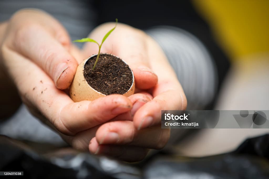 플라스틱 줄이기! 천연 섬유 화분과 업사이클링 화분 만드는 방법