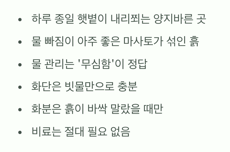 햇살은 보약&amp;#44; 물과 거름은 독약