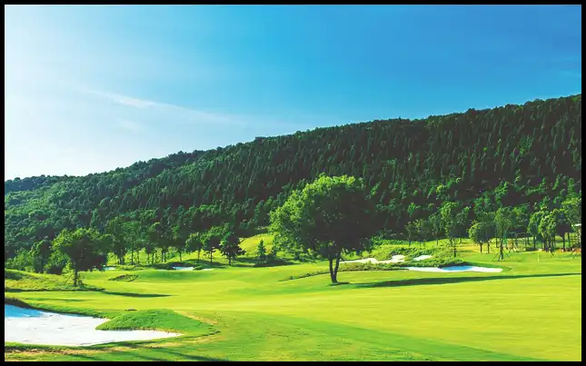 파크골프 경기규칙 (+ ob처치 방법 )