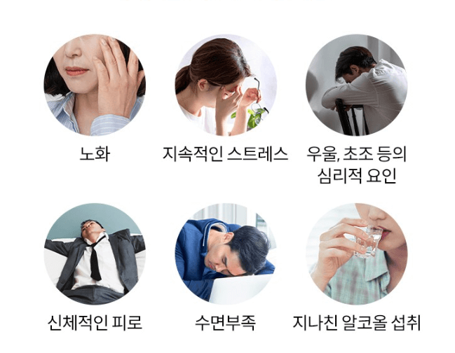 포스파티딜세린 효능 섭취방법 여에스더 뇌영양제 추천(포스타디딜세린)