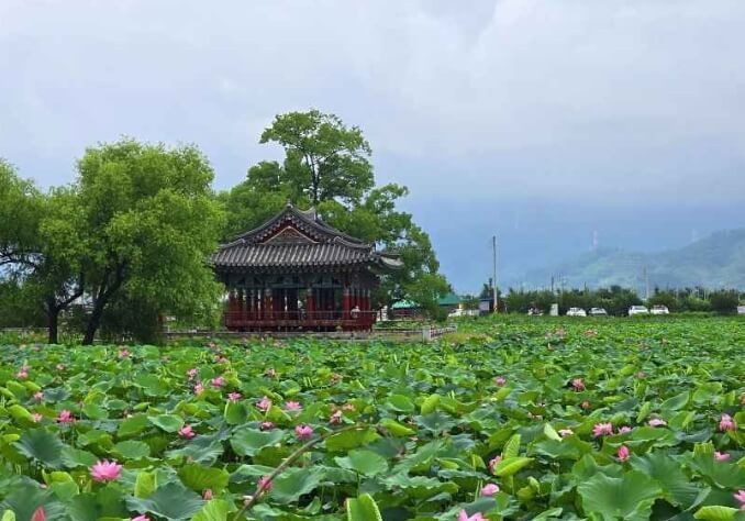 청도 가볼만한곳 베스트 10