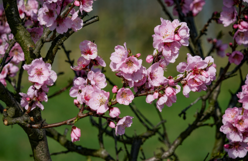 국민연금 관련 사진