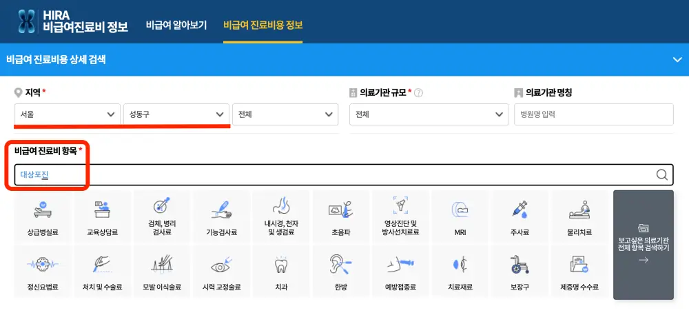 비급여진료비정보-사이트-대상포진-검색장면