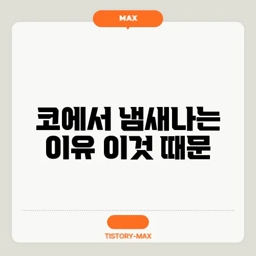 코에서 냄새나는 이유 이것 때문