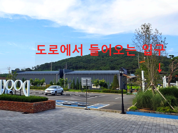 강화도 대형카페 두운리: 목수국, 온실 정원까지 맛과 분위기 모두 잡은 강화도 갈만한곳