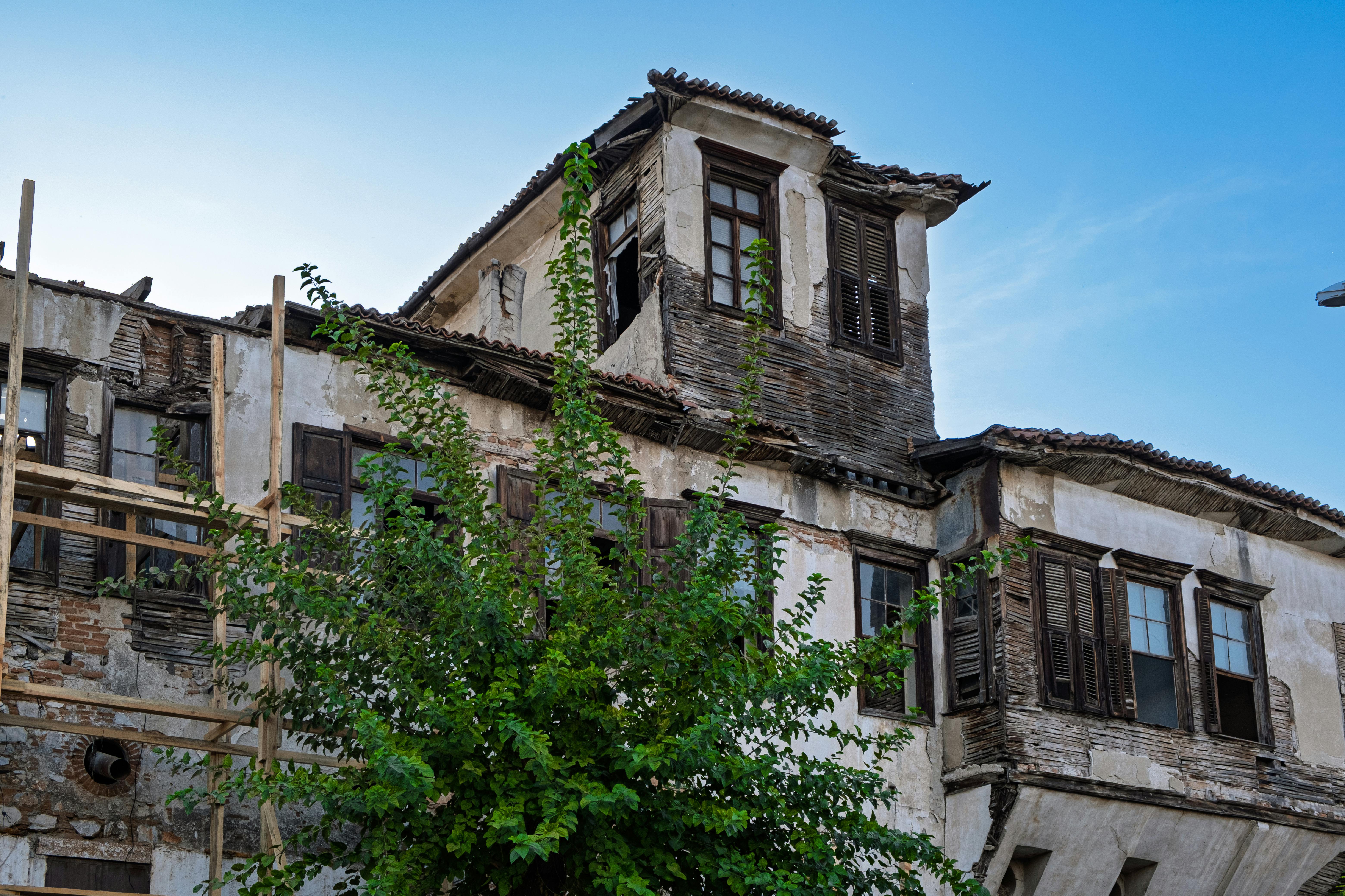 얼음물에 빠진 강아지를 구하는을 상징하는 이미지
