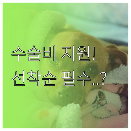 충청북도 반려동물 중성화 수술 및 종..