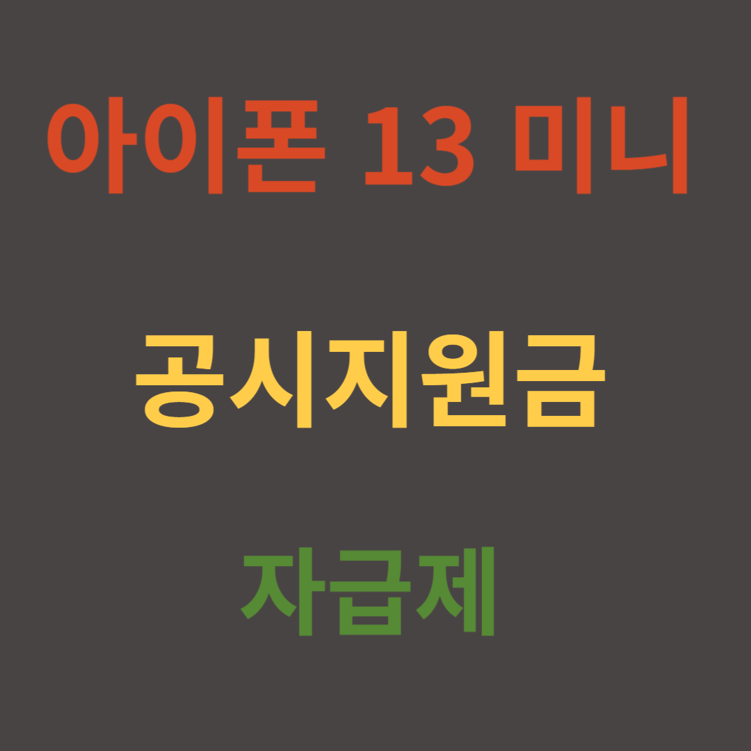 아이폰 13 미니