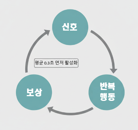 소비 습관의 신호-반복행동-보상 고리 구조 &mdash; 자동화 0.3초 메커니즘