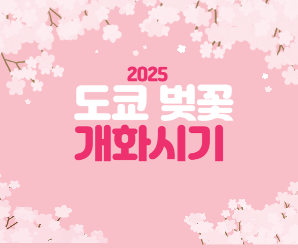 도쿄 벚꽃 개화시기