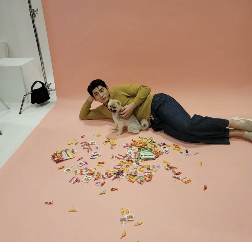 바람의 손자 이정후 프로필 최신 활동