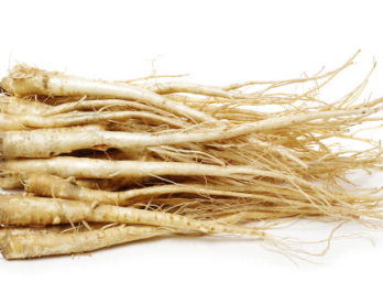 balloon flower root