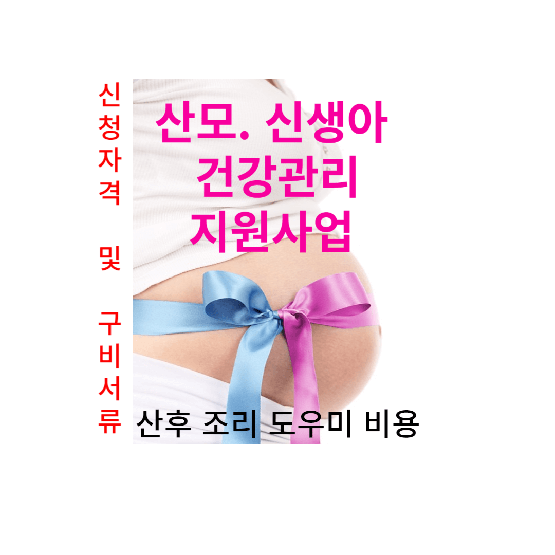 산모 신생아 건강관리 지원사업 산후조리 도우미 신청방법(비용) 및 서류