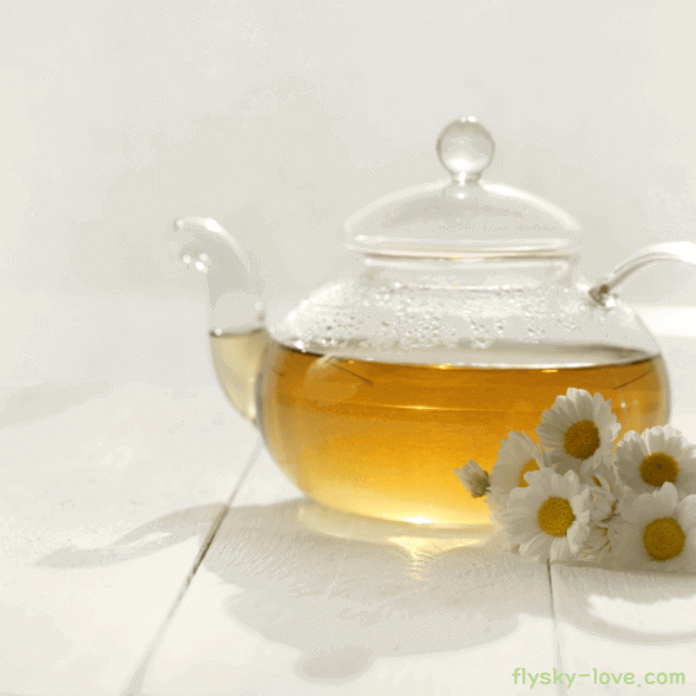 국화차 주의사항